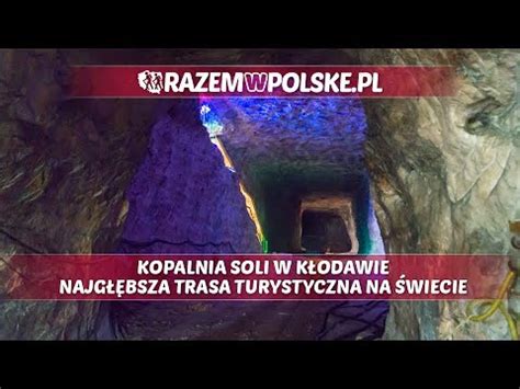  Julidae: Zwiń się w kłębek i odkryj tajemnice podziemnego świata!