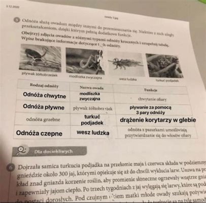  Nieśluza: Zwierzę z Podwodnym Domem i Mistrz Przemieszczania Się