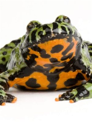  Fire-Bellied Toad: Znakomity Skoczek i Mistrz Kamuflażu w Świecie Głuchy Chwili!